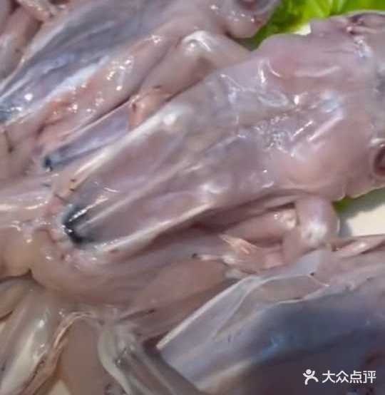 重庆打渔郎鱼蛙火锅