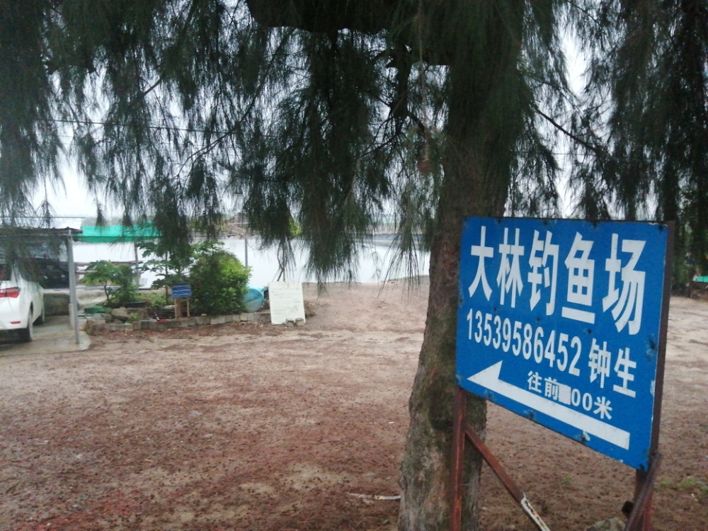 大林钓鱼场