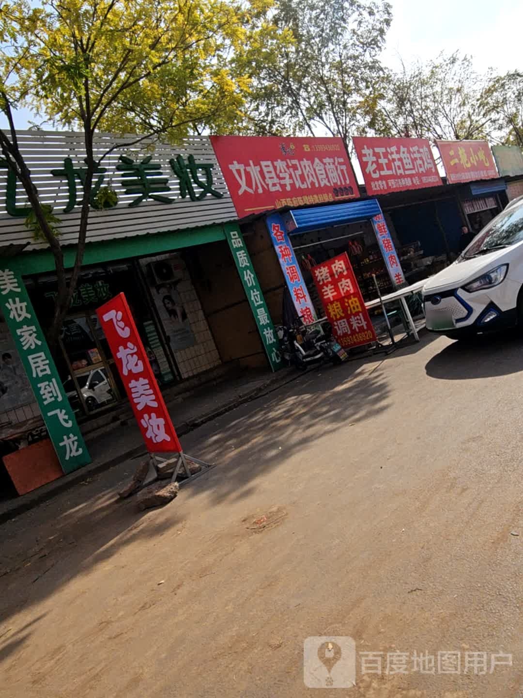 老王活鱼活鸡
