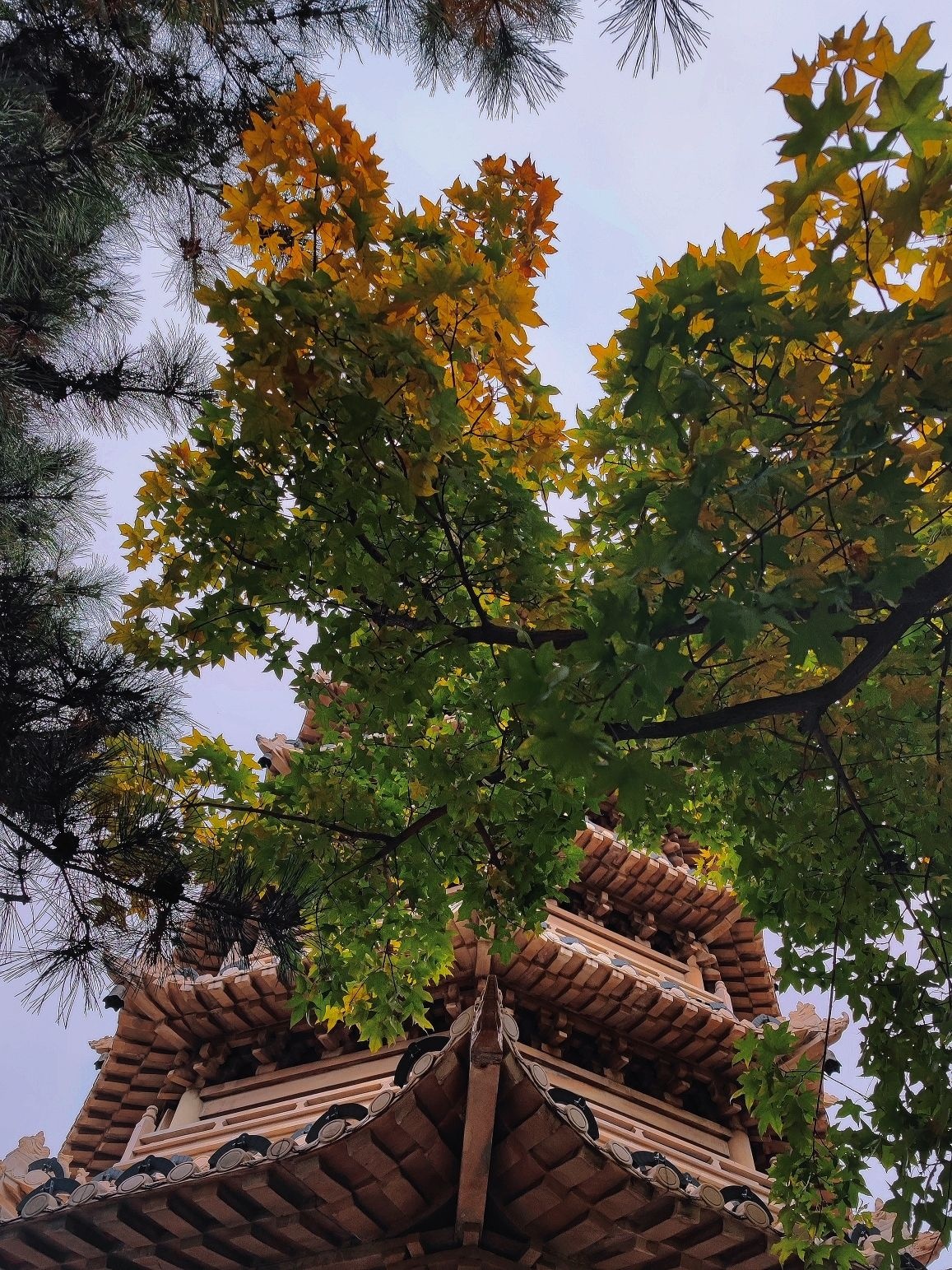 燕鑫公益园