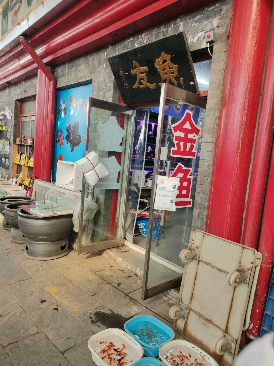 友鱼