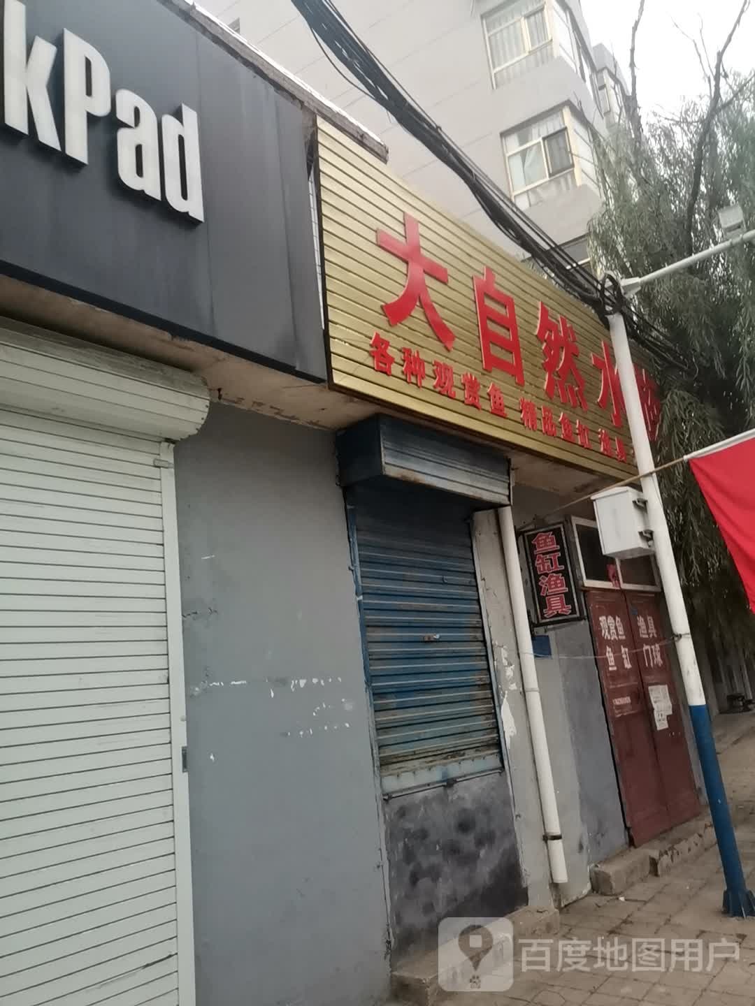 大自然水族