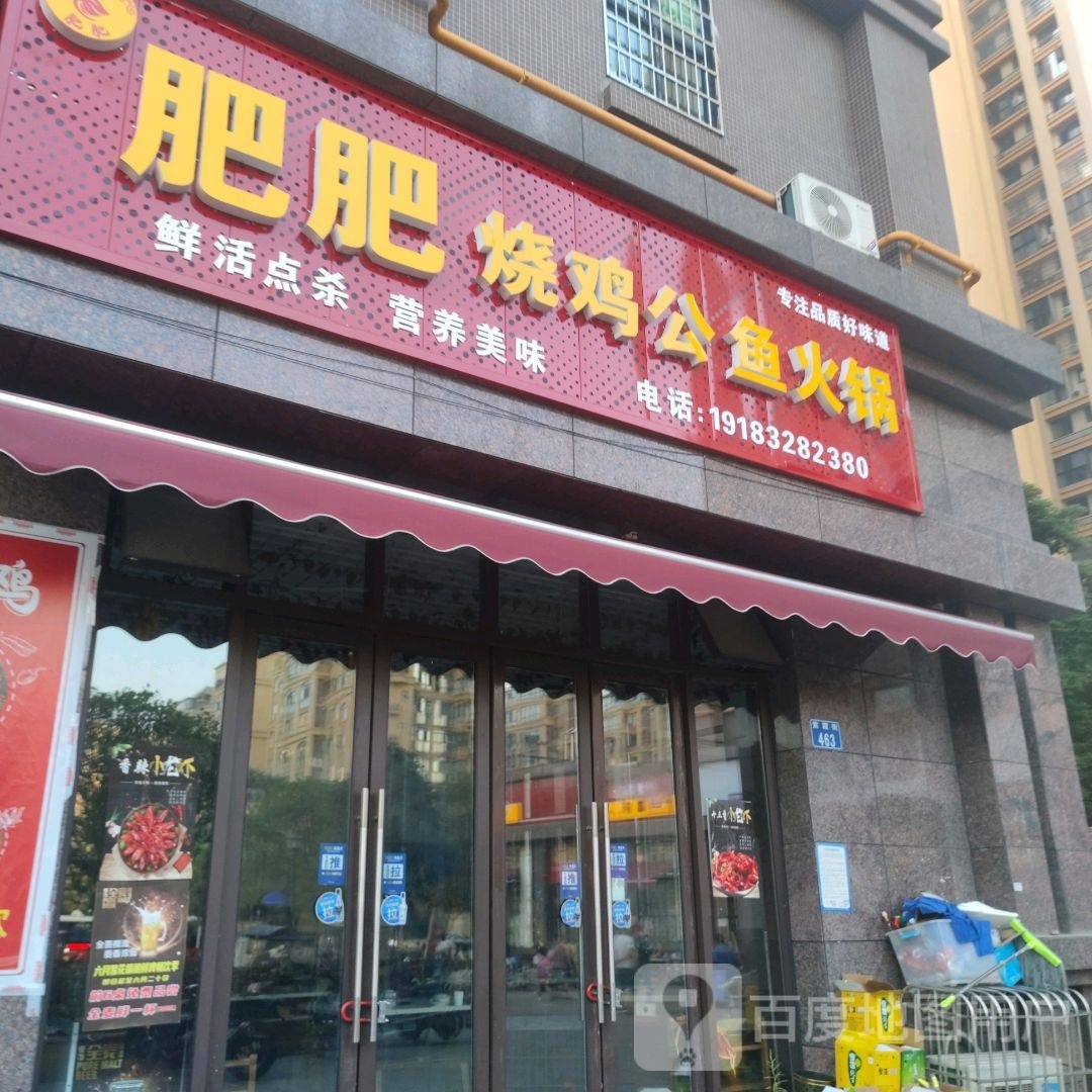 肥肥烧鸡公鱼活过