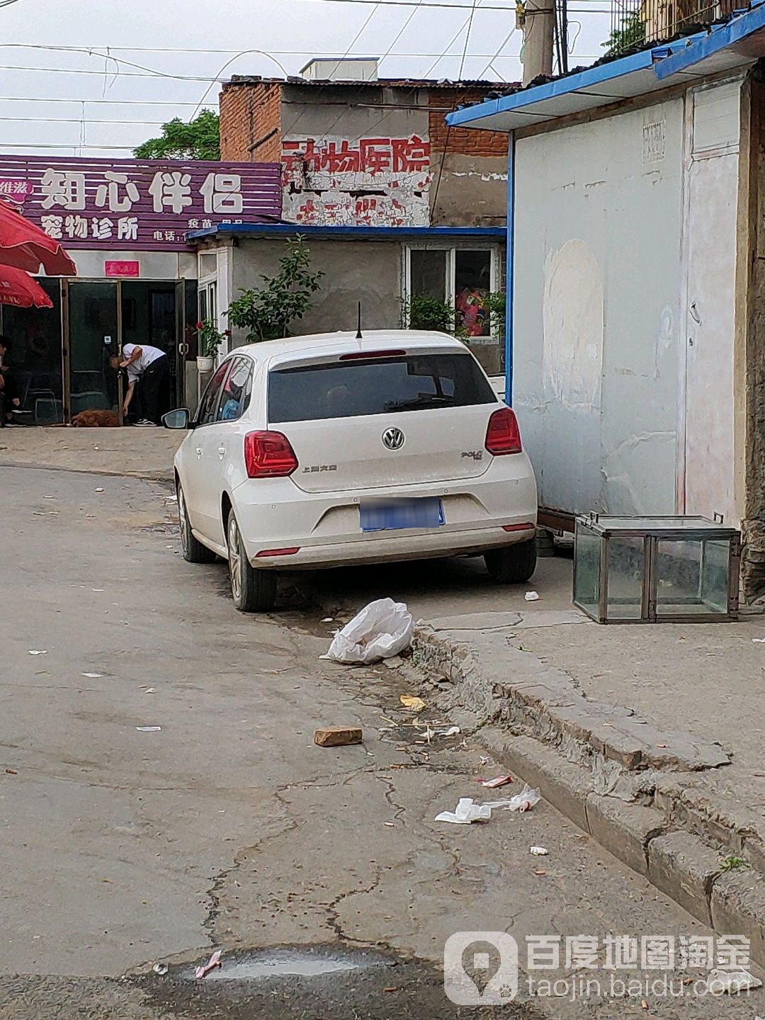 知心伴侣宠物诊所