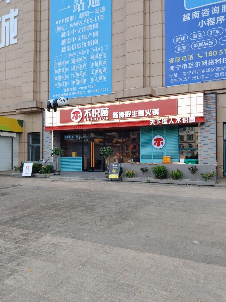 不识菌新派野生菌火锅