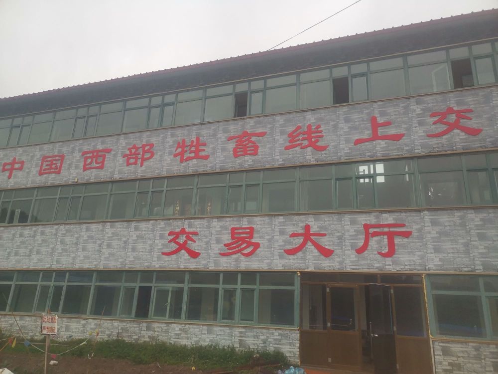 青海省大通县牲畜交易中心