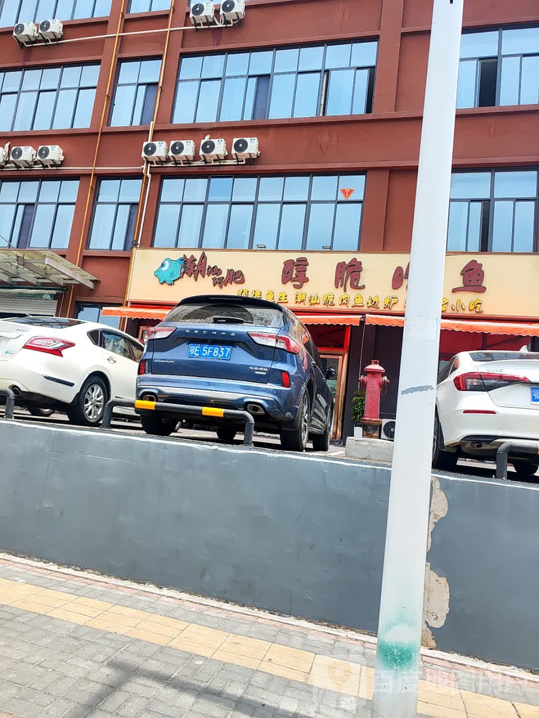 潮汕阿肥醇脆吃鱼(万年嘉苑店)