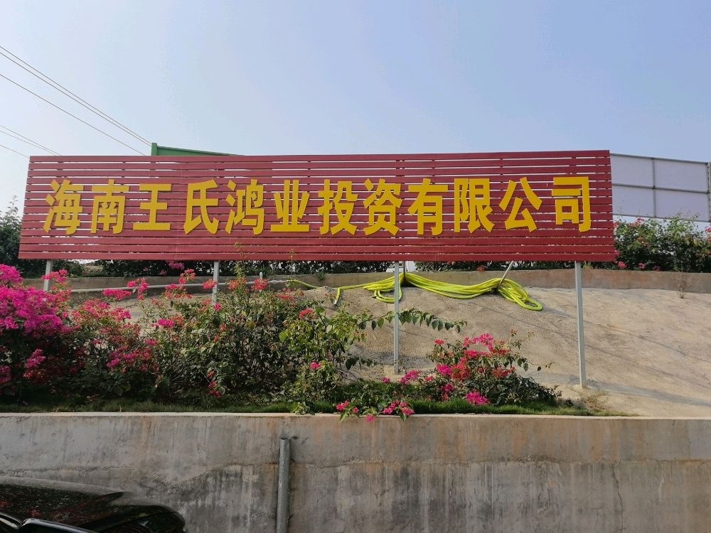 海南王氏鸿业投资有限公司