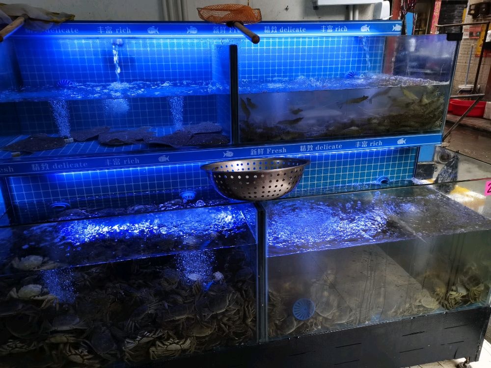 三只海虾海先批发零售