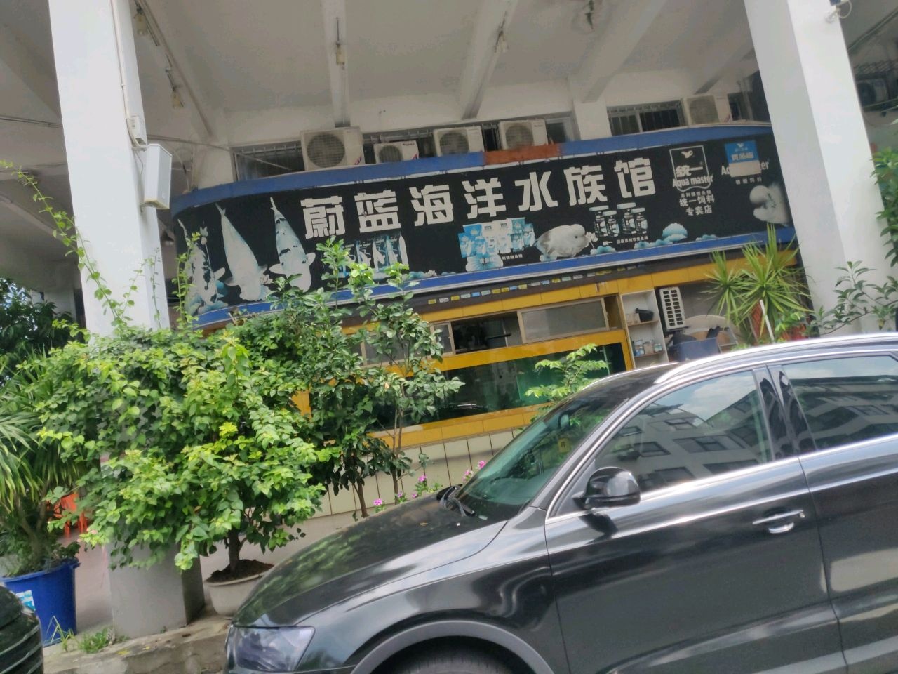 蔚蓝海洋水族馆