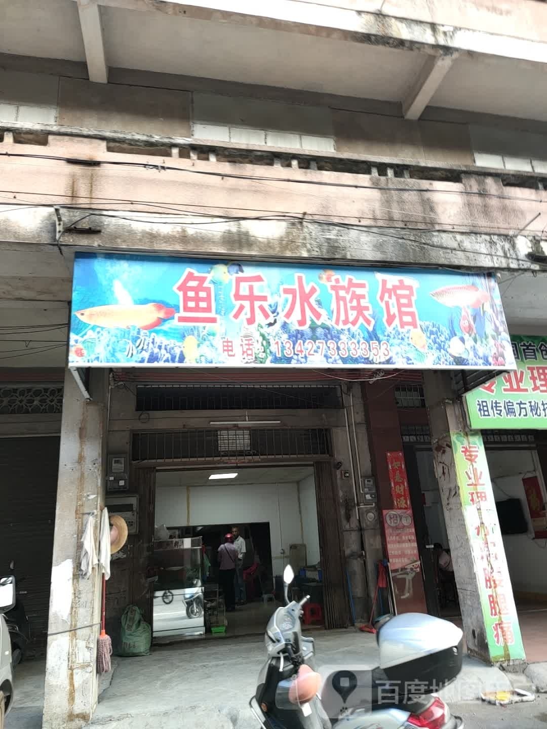 鱼乐水族馆(新兴路店)