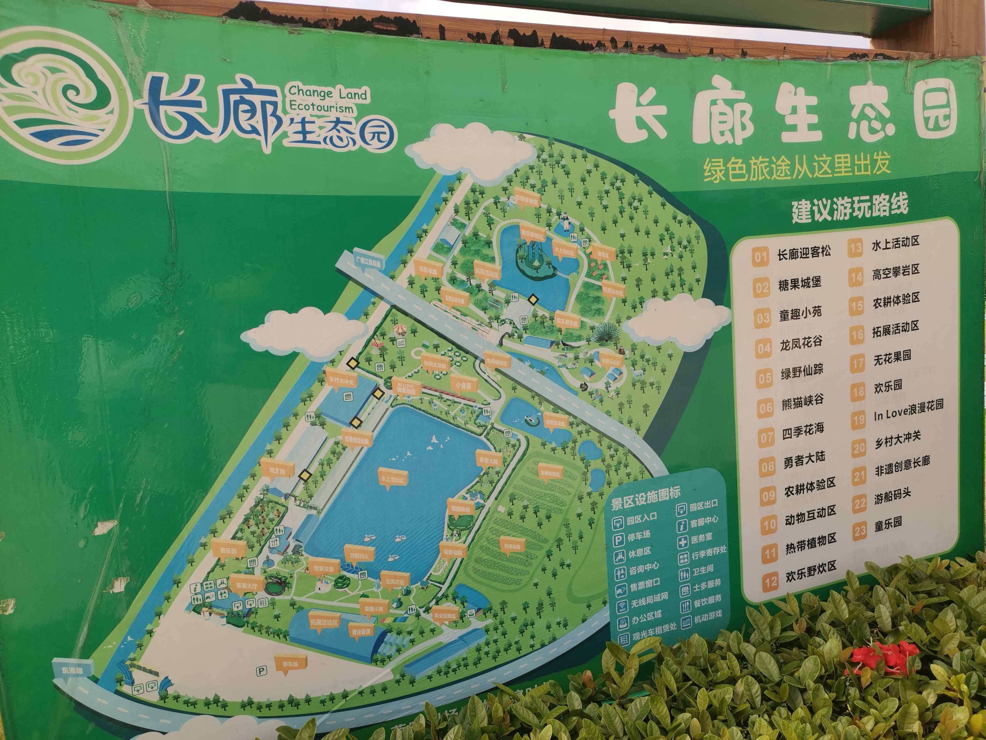 热带植物