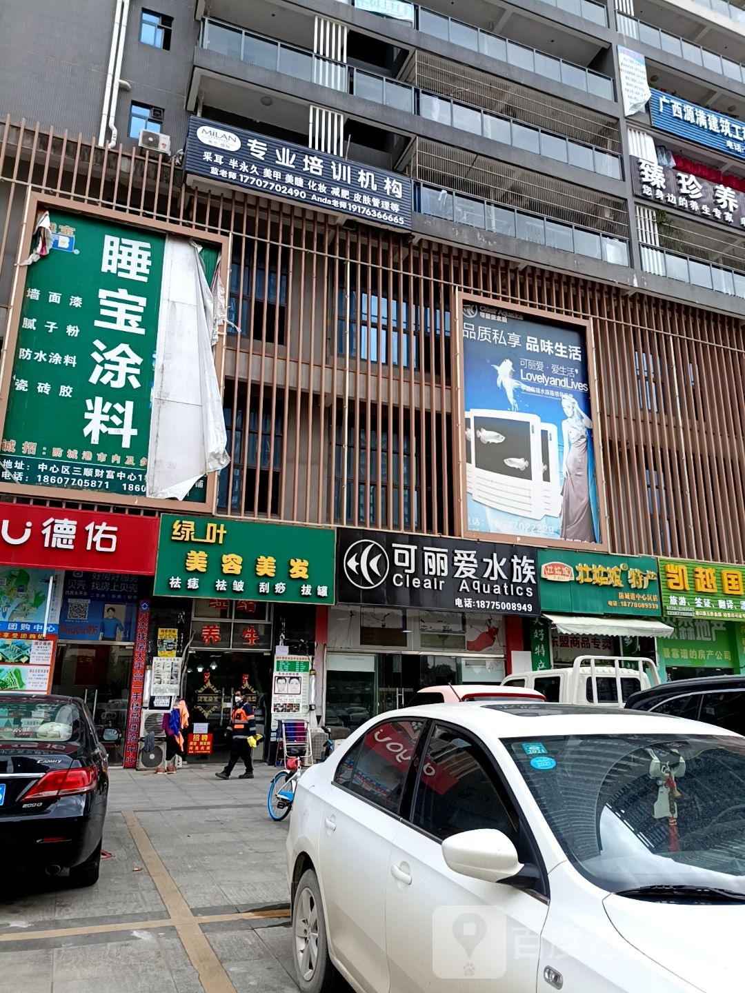 可丽爱水族(金花茶大道店)