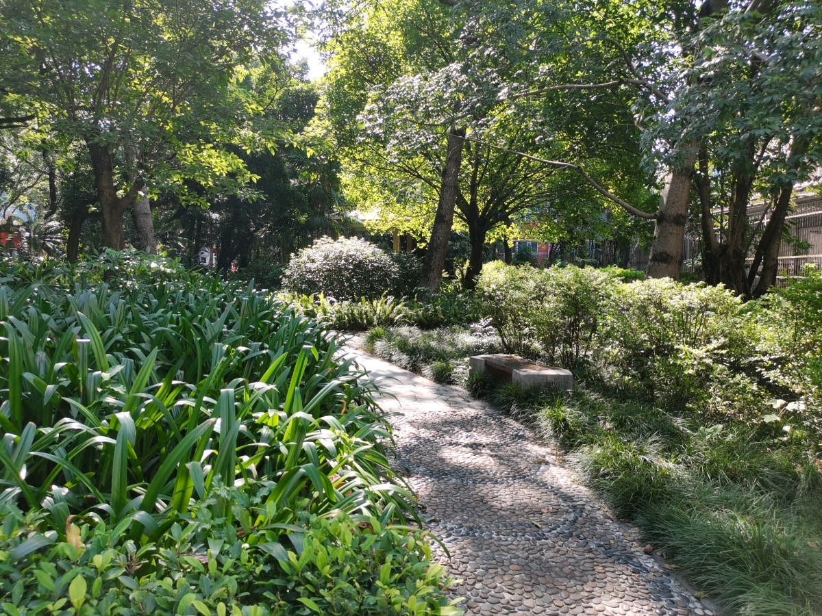 广州中累医荸药大学(三元里校区)-植物园