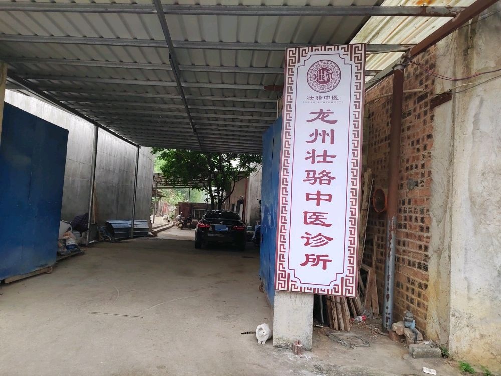 龙州壮骆中医诊所