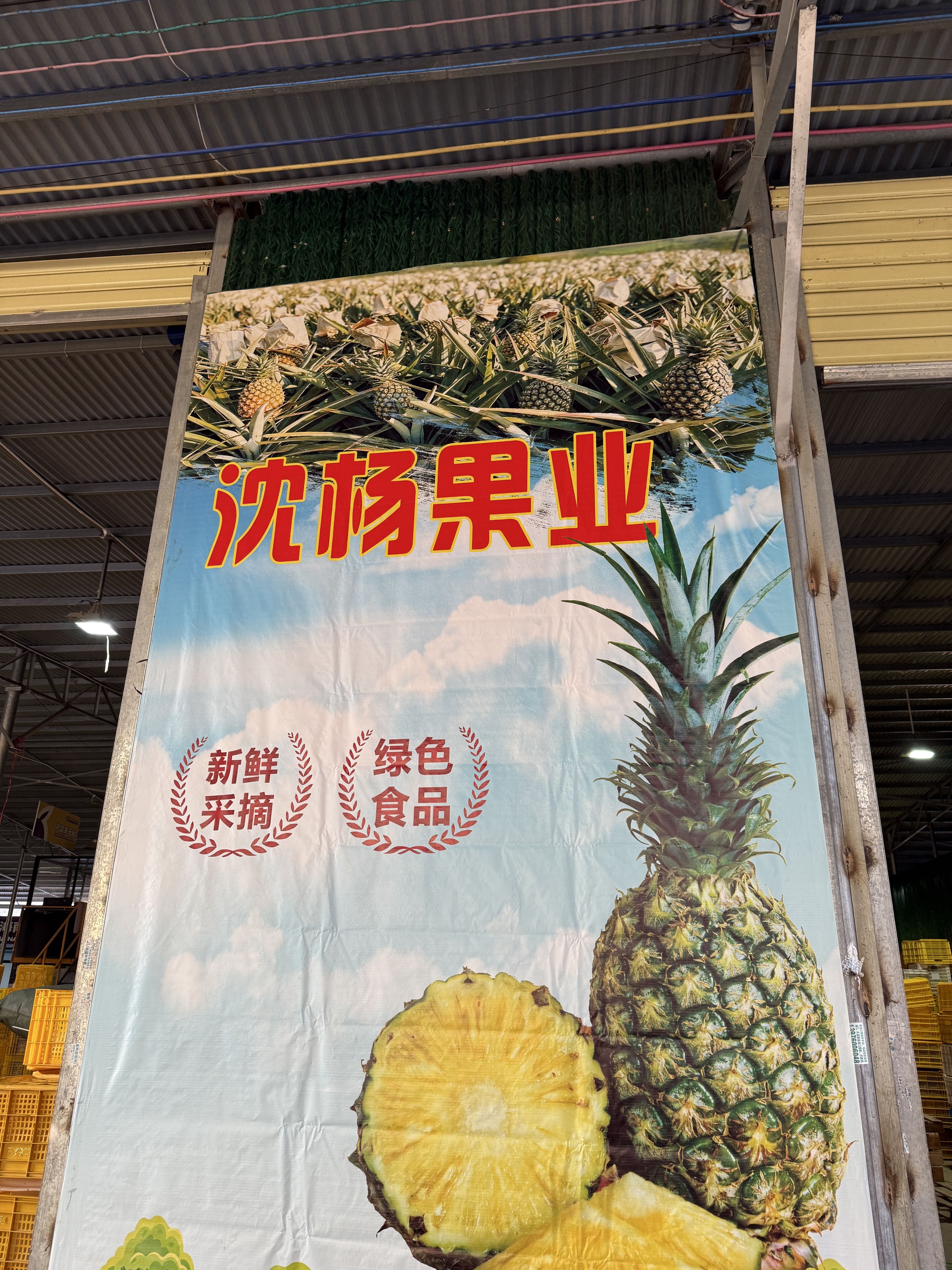 沈杨果业