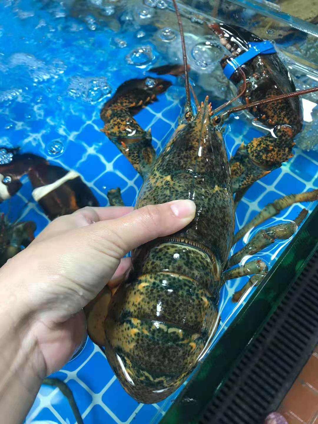 闸坡海鲜批发市场