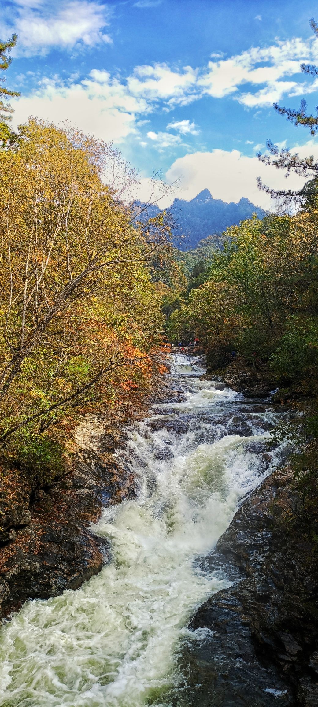 黄柏塬原生态风景区