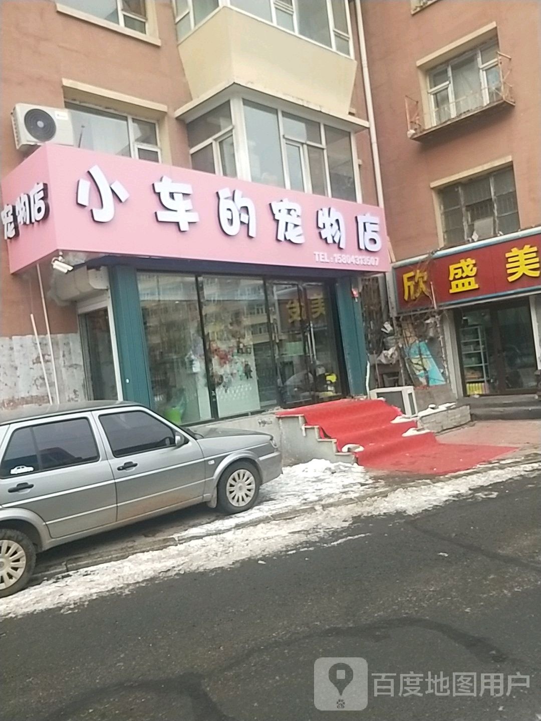 小车的宠物店