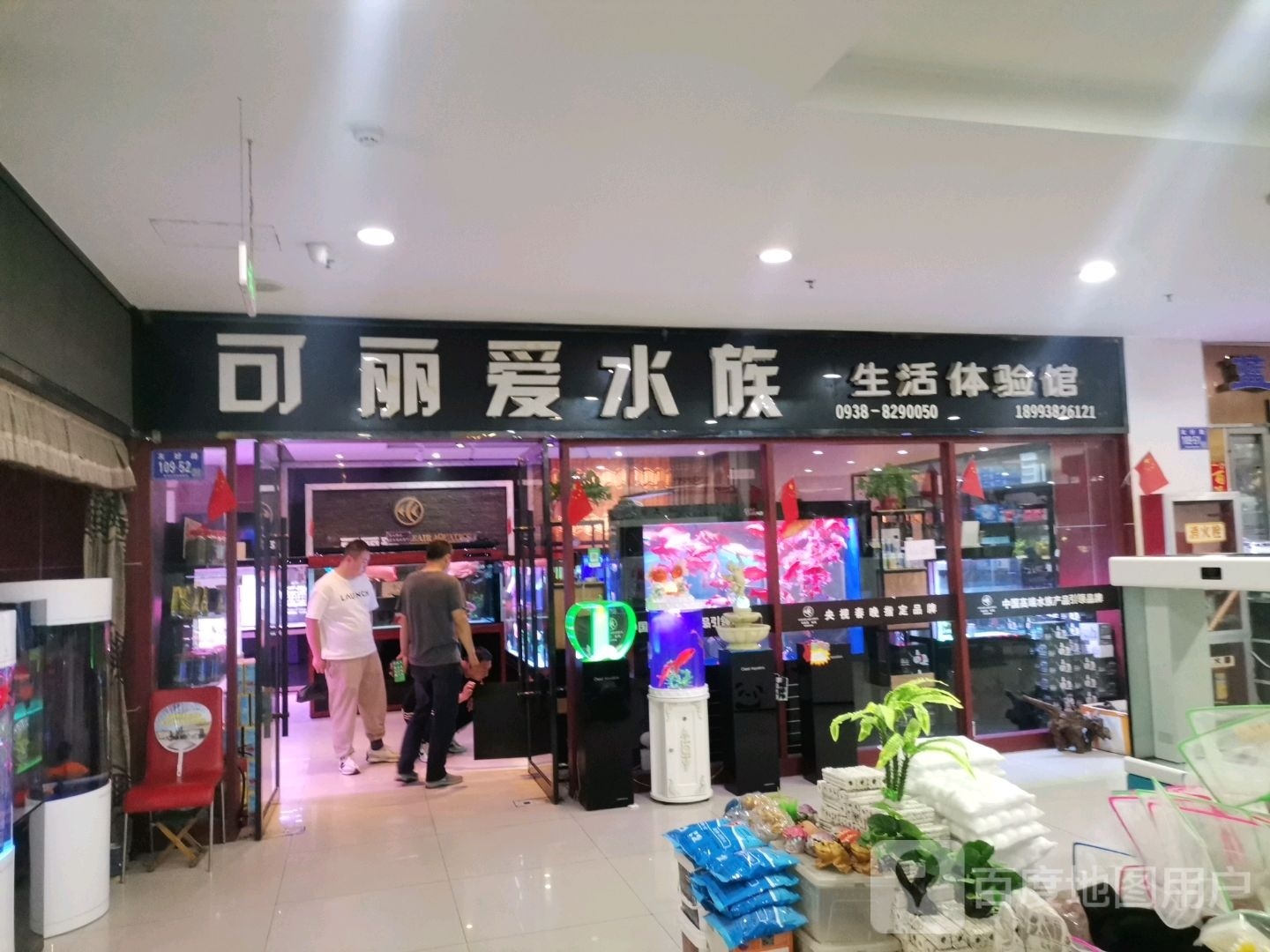 可丽爱水族生活体验