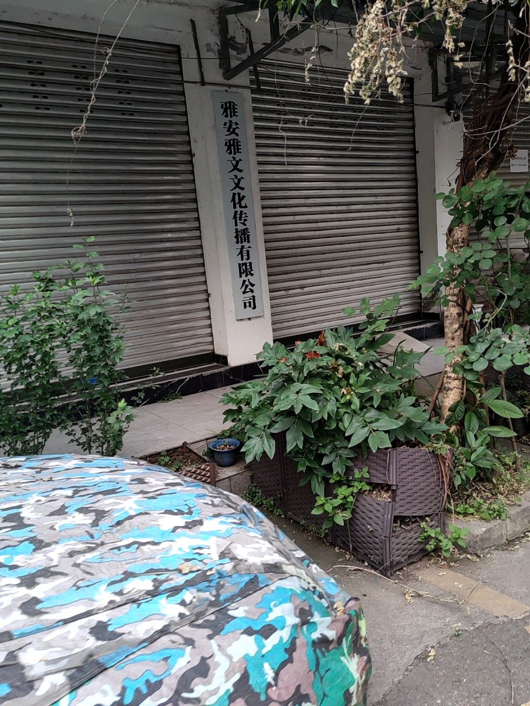 雅安雅文文化传播有限公司