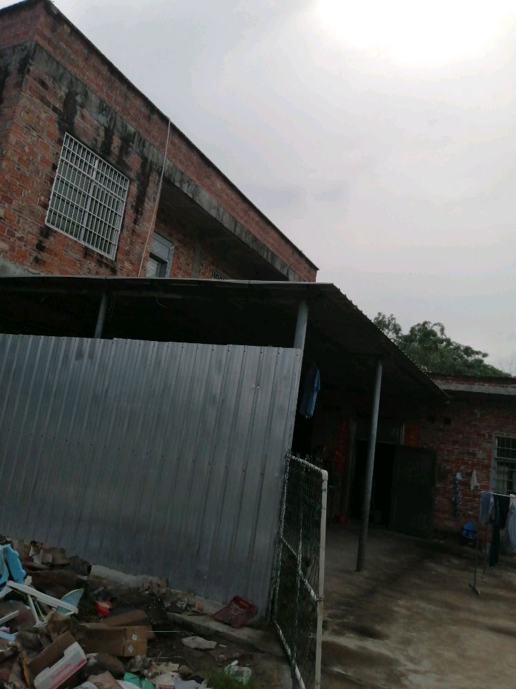 廉江市青平弘宇家庭农场