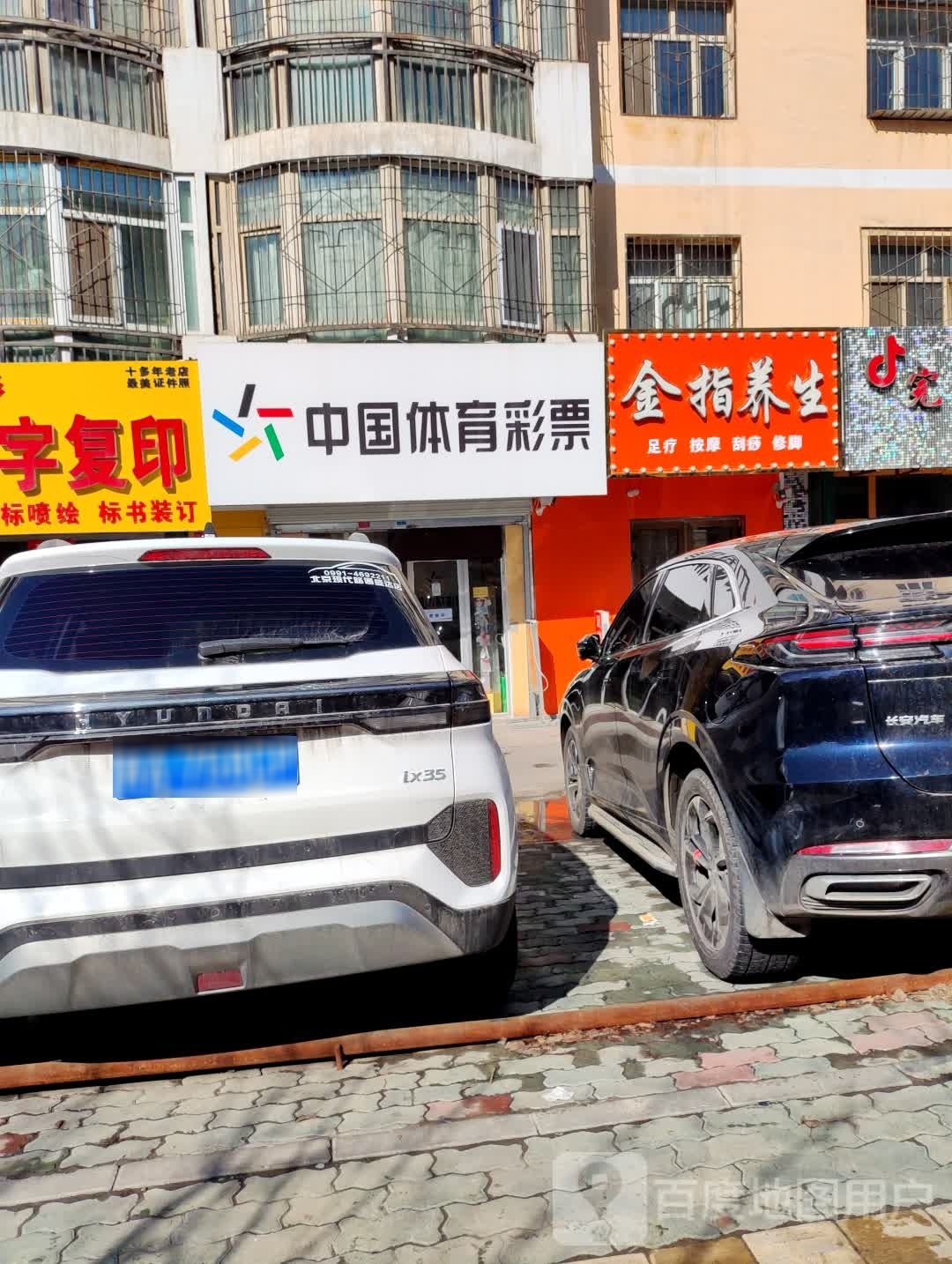 金指养生堂