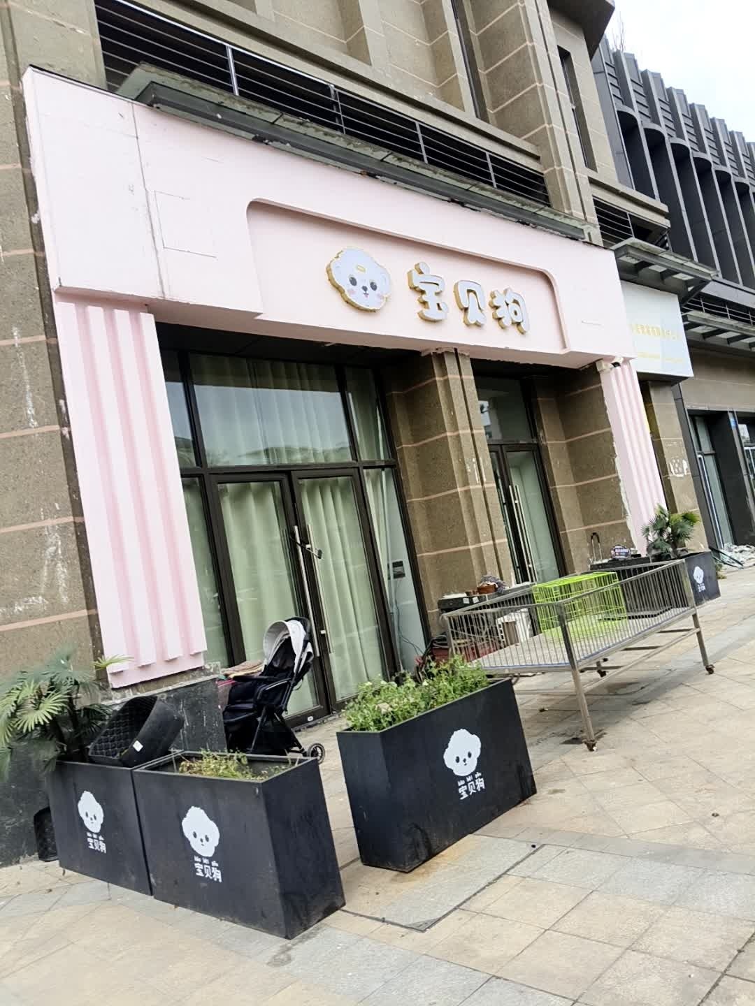 宝贝狗宠物店
