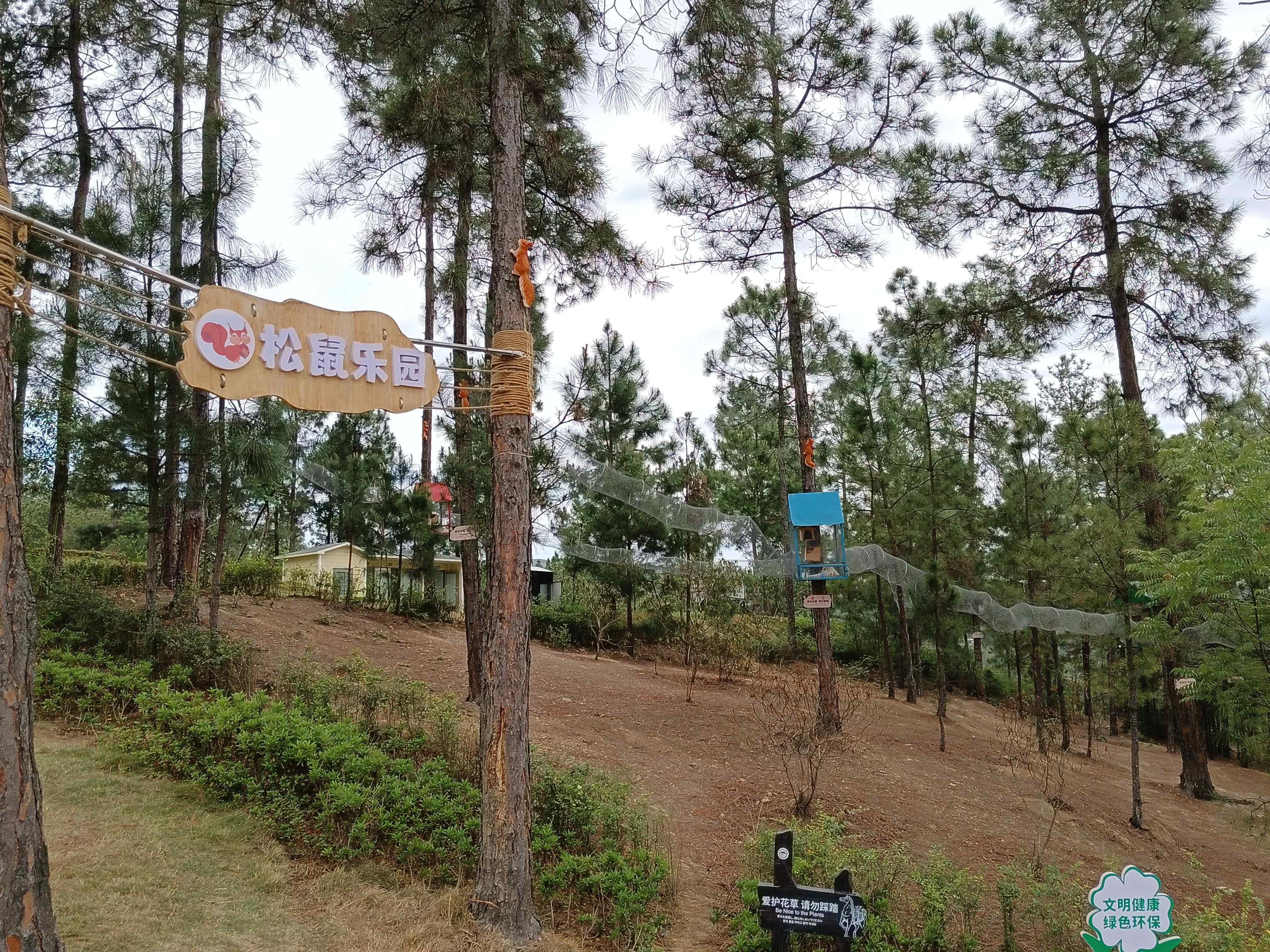 威远古佛顶景区-松鼠乐园