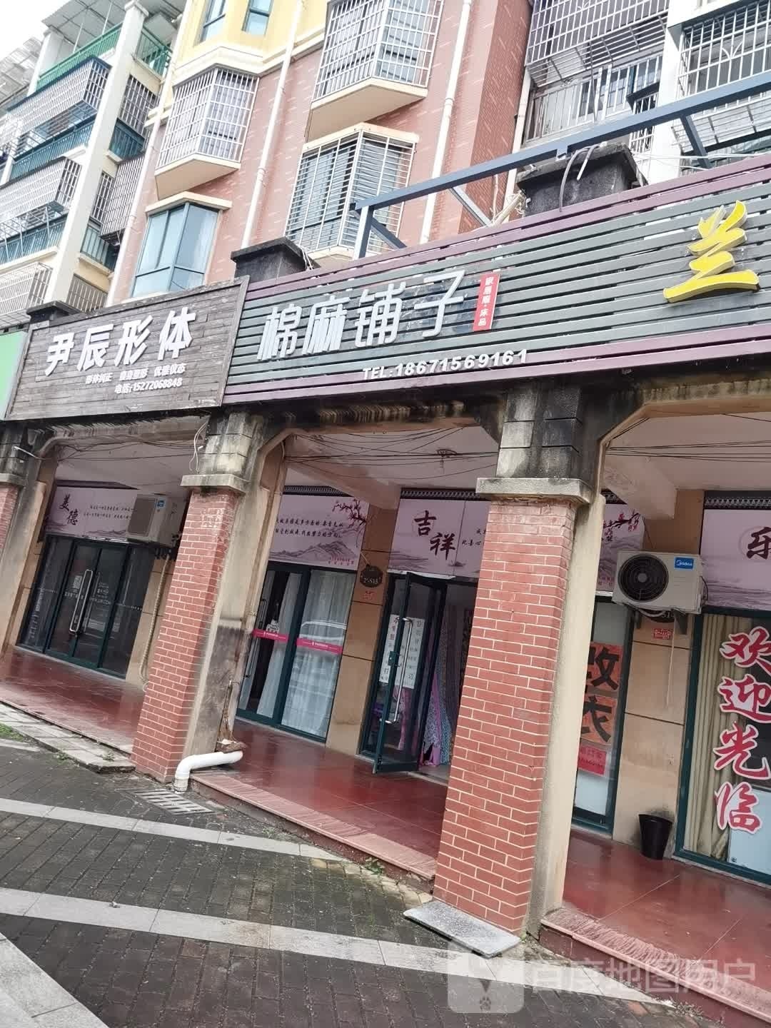 尹辰体形