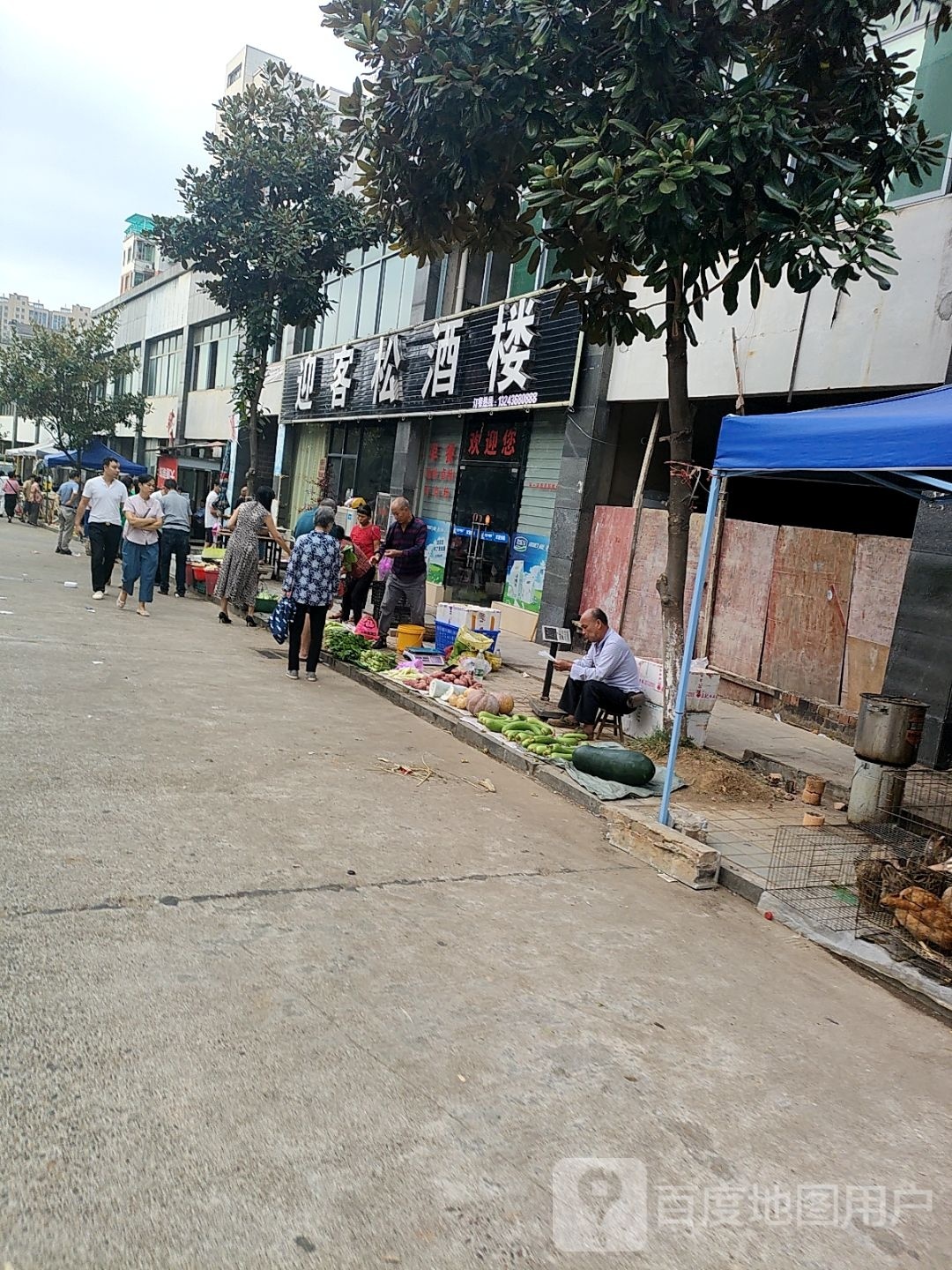 迎松黄山酒楼(天宇第一城店)