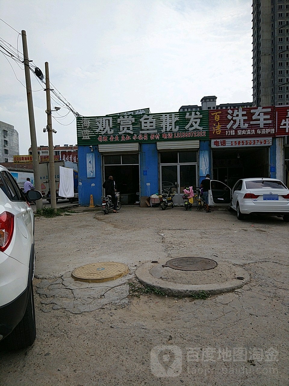 海蓝观赏鱼批发