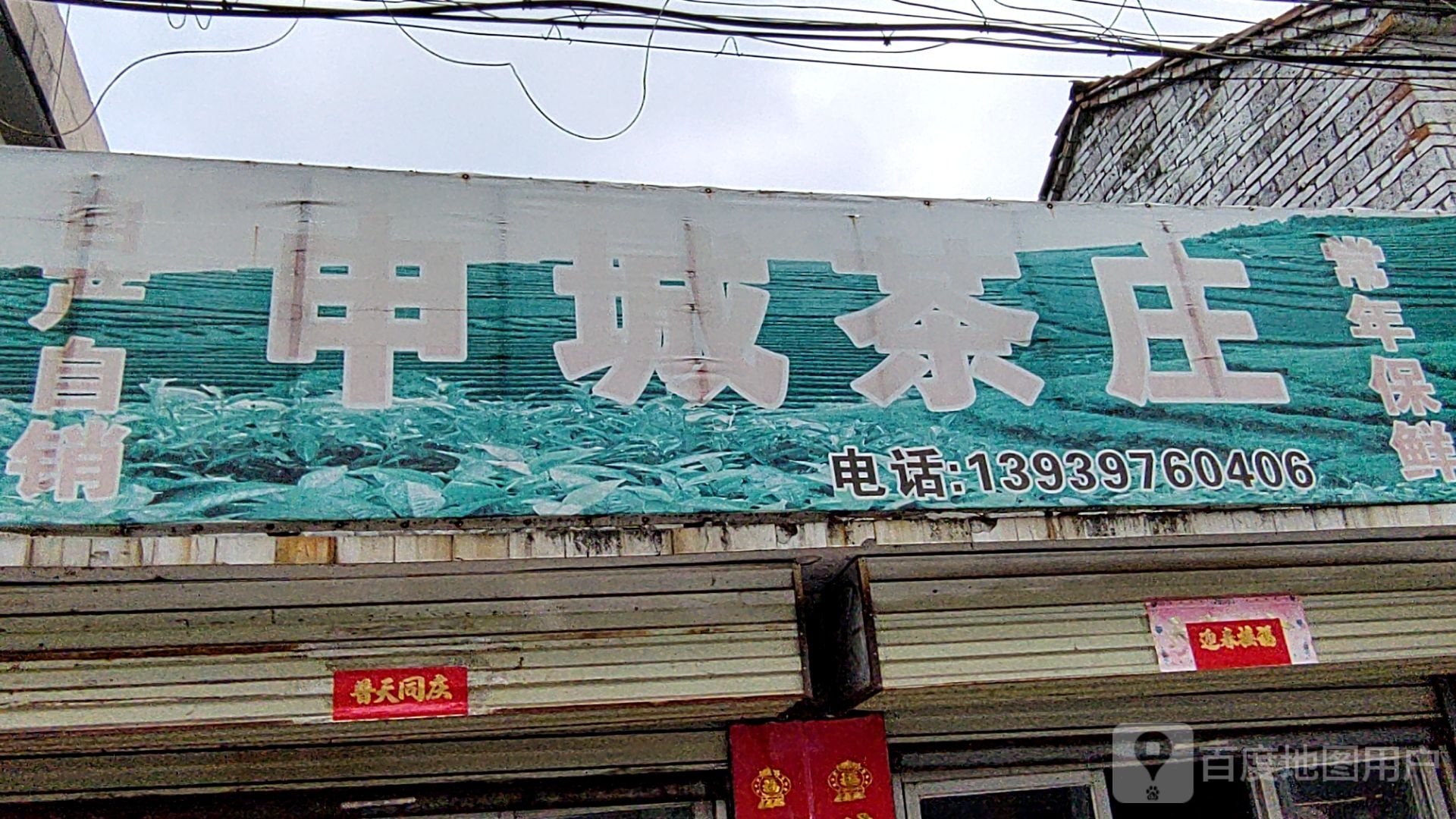 平桥区明港镇申城茶庄