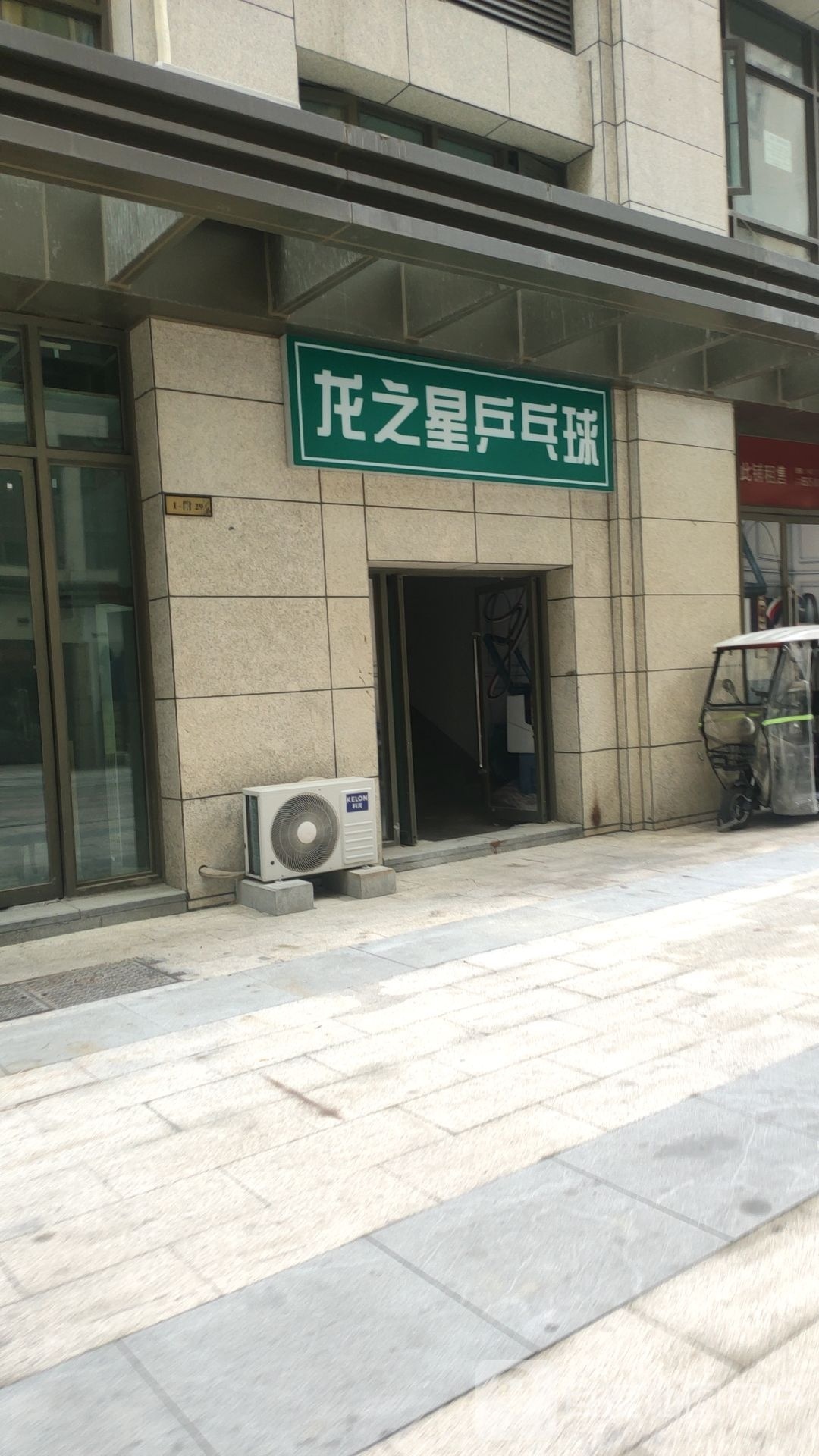龙之星乒乓球