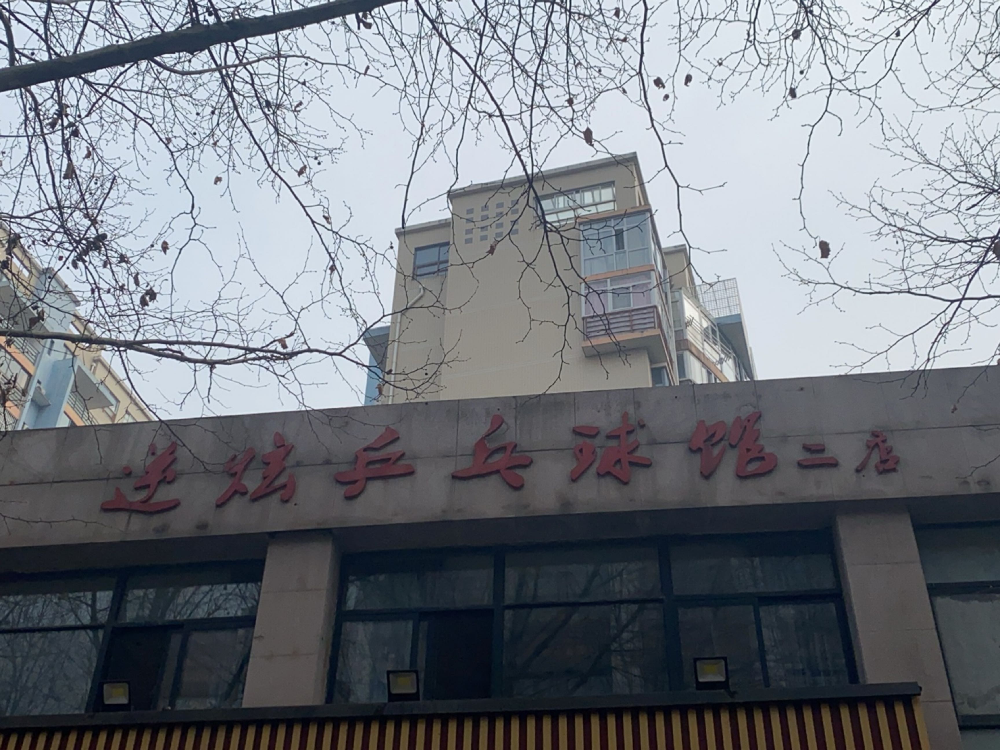 逆炫乒乓球馆(四里河路店)