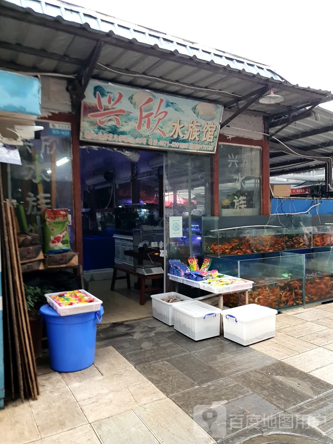 兴欣水族馆
