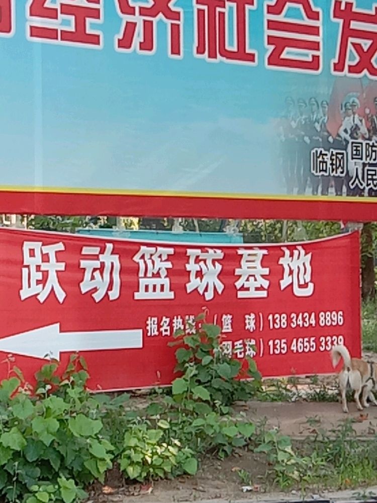 跃动篮球基地