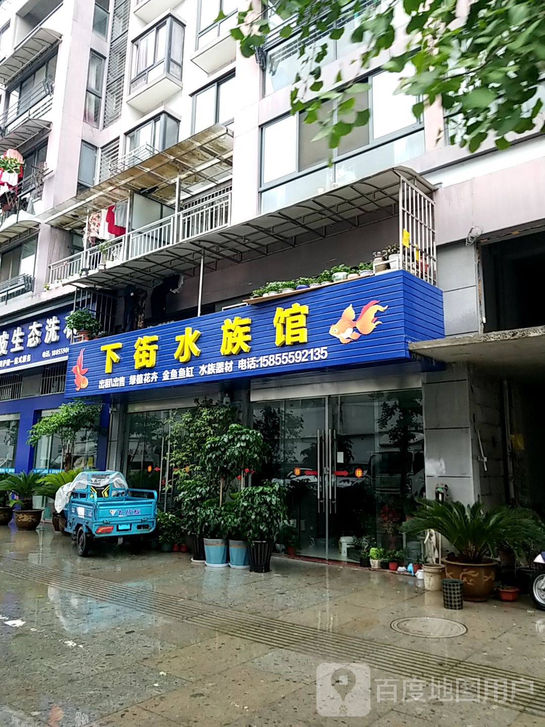 下街水族馆(丰乐怡庭店)