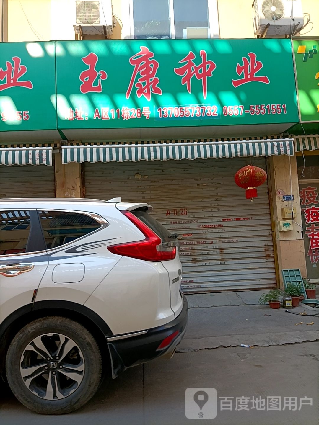 康语种业