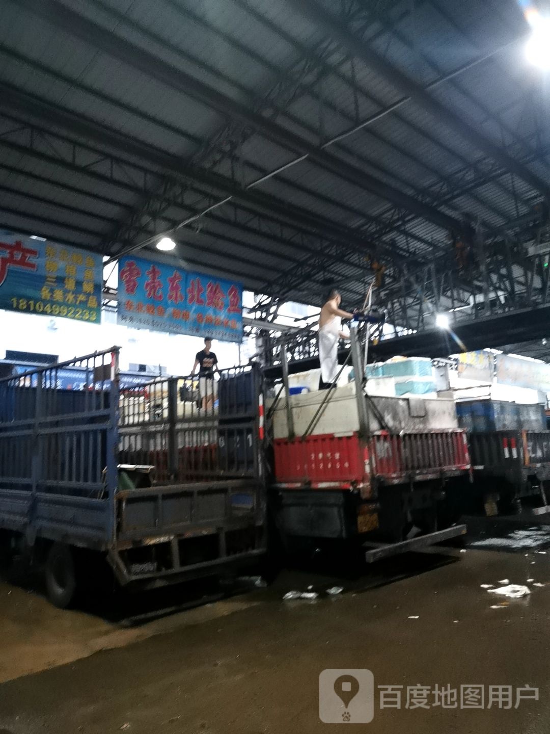 雪亮东北鲶鱼