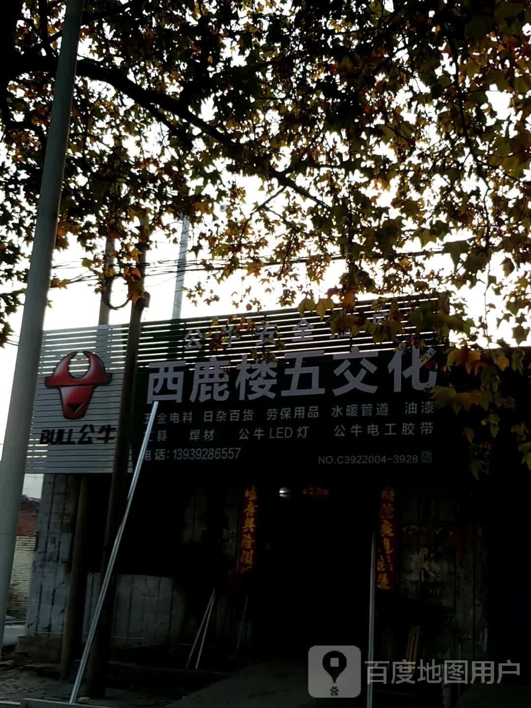 西鹿楼五交化