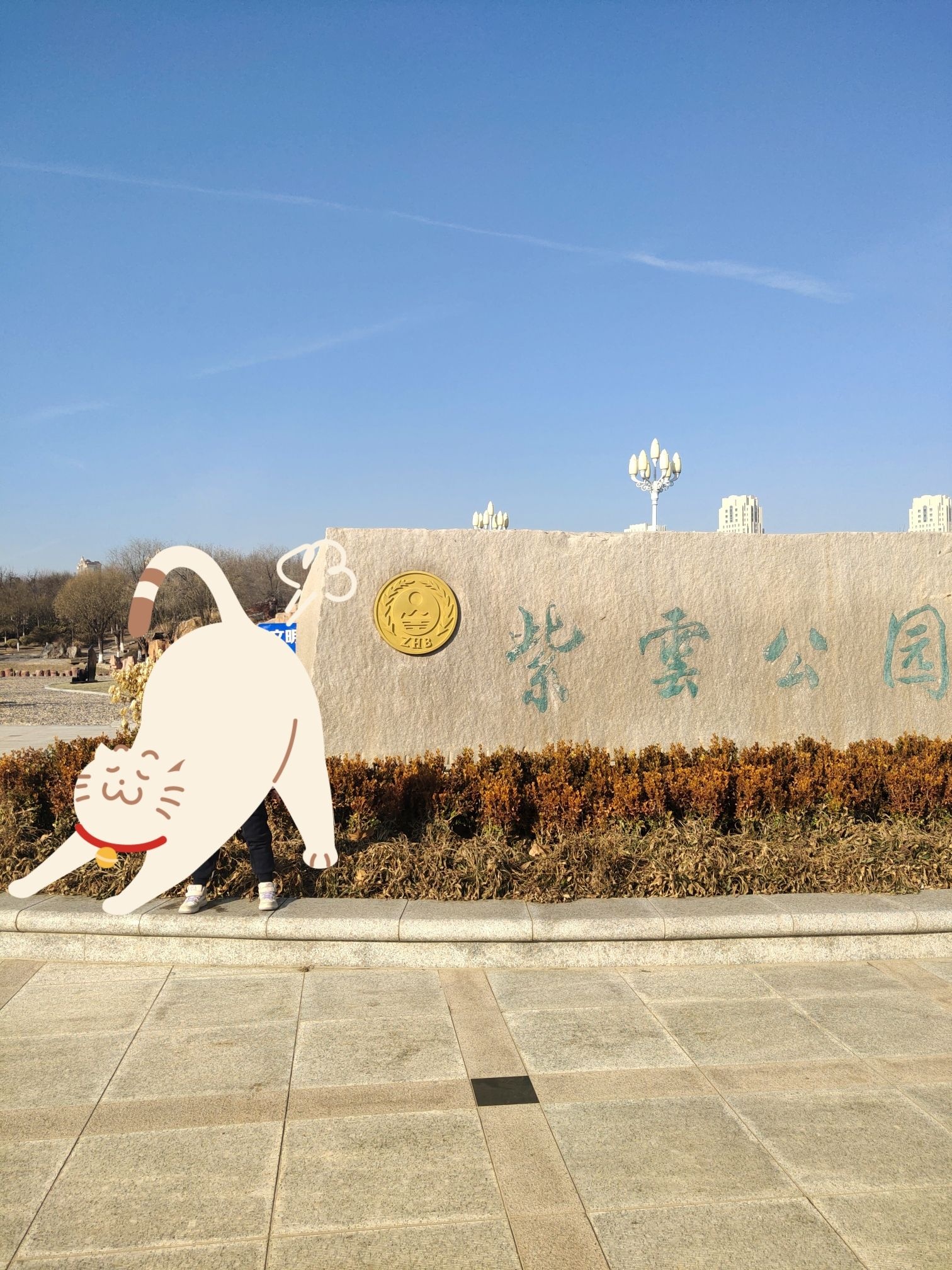 紫云公园