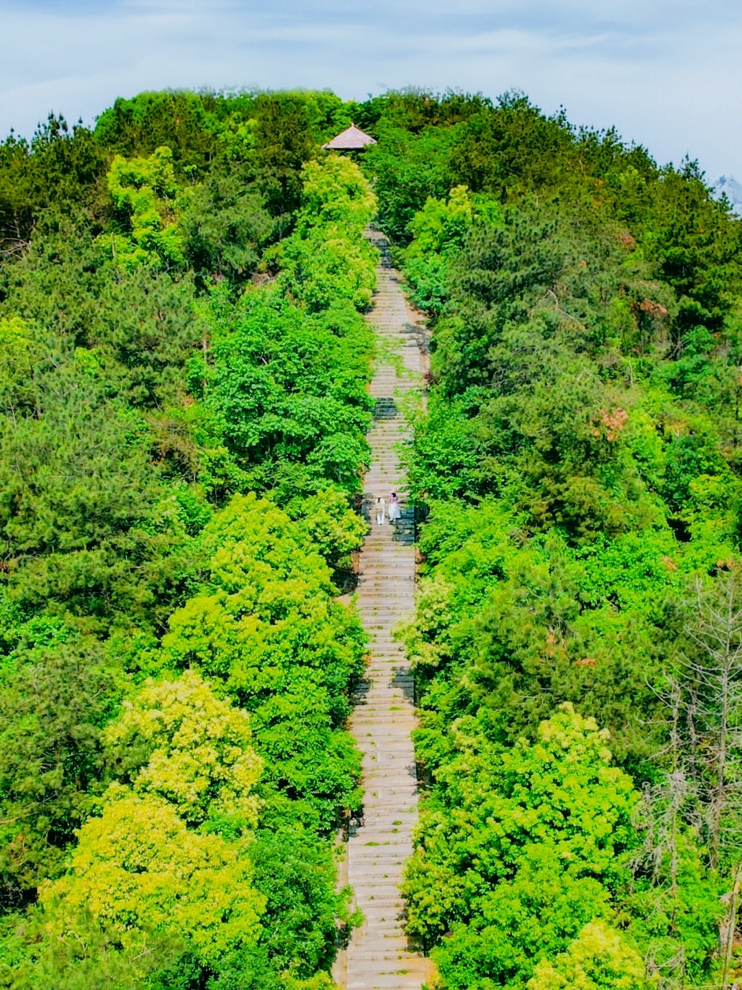 大花山生态游园
