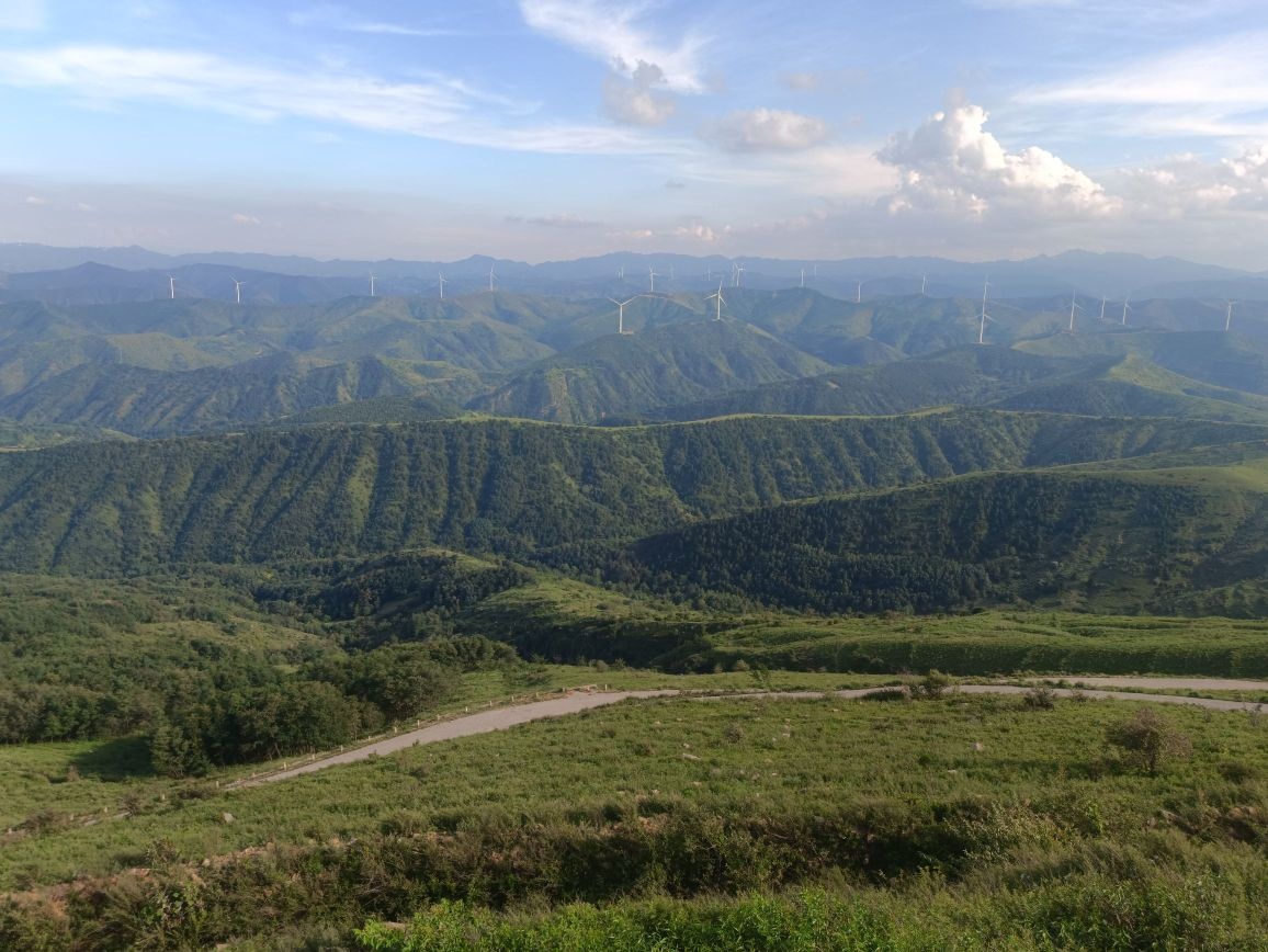 青山