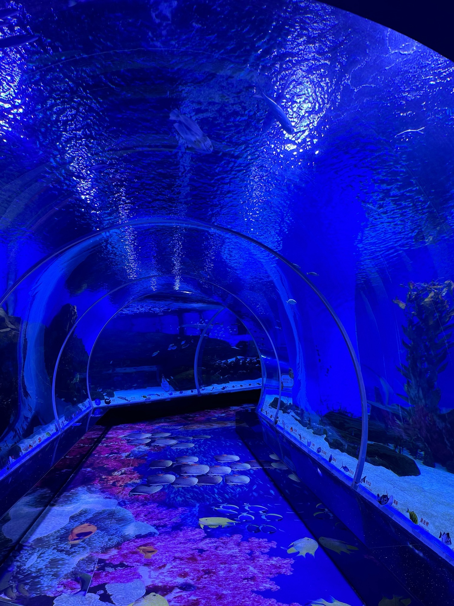 顺德南宏海立方海洋公园