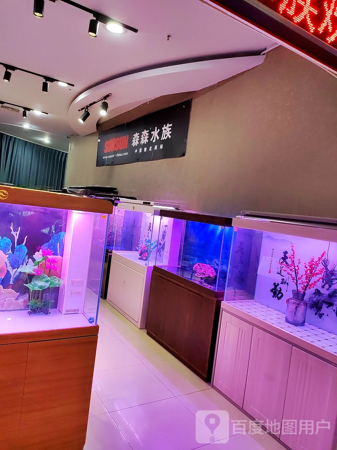 sen森水族(贵都购物广场店)
