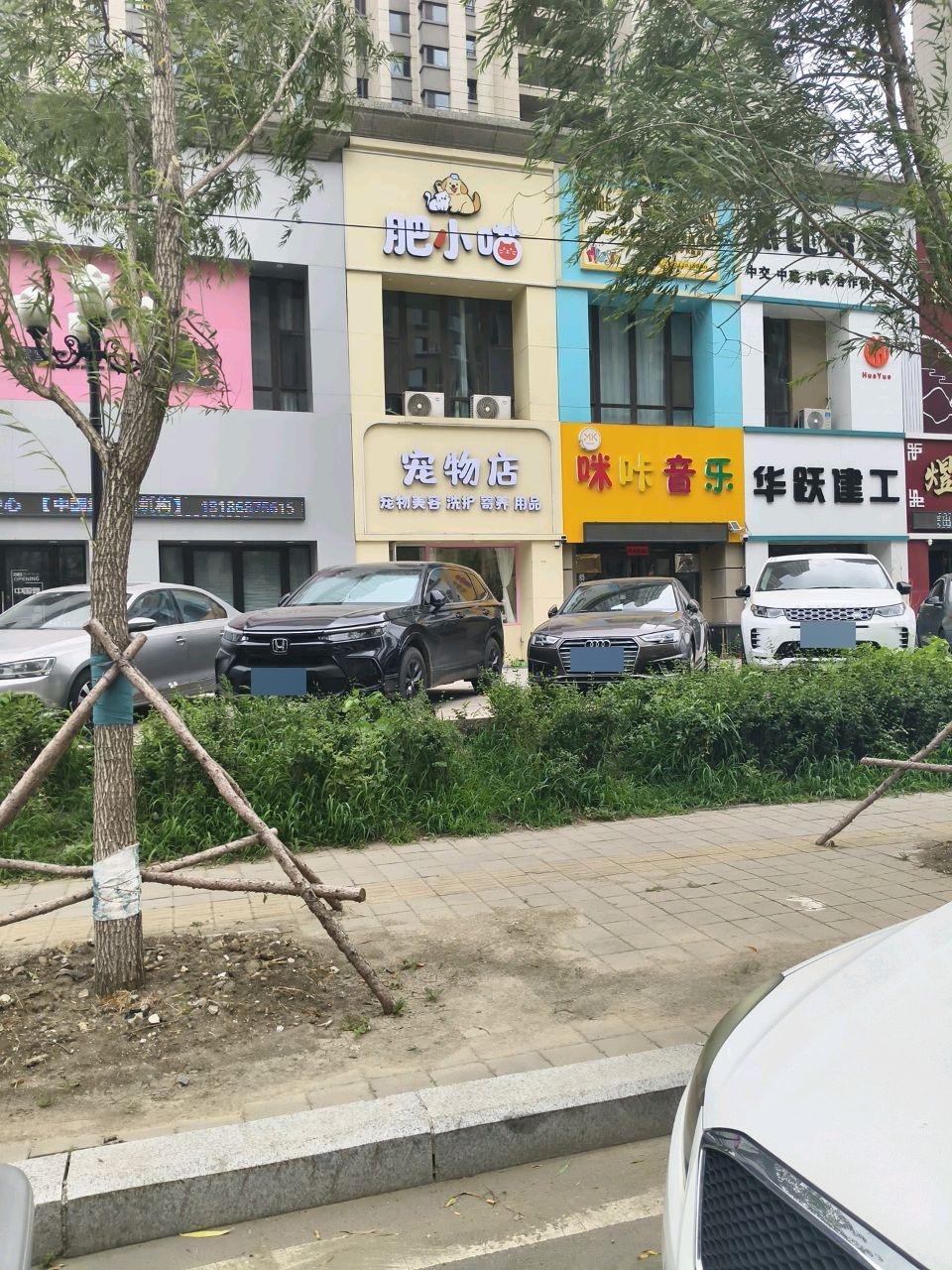 宠物店