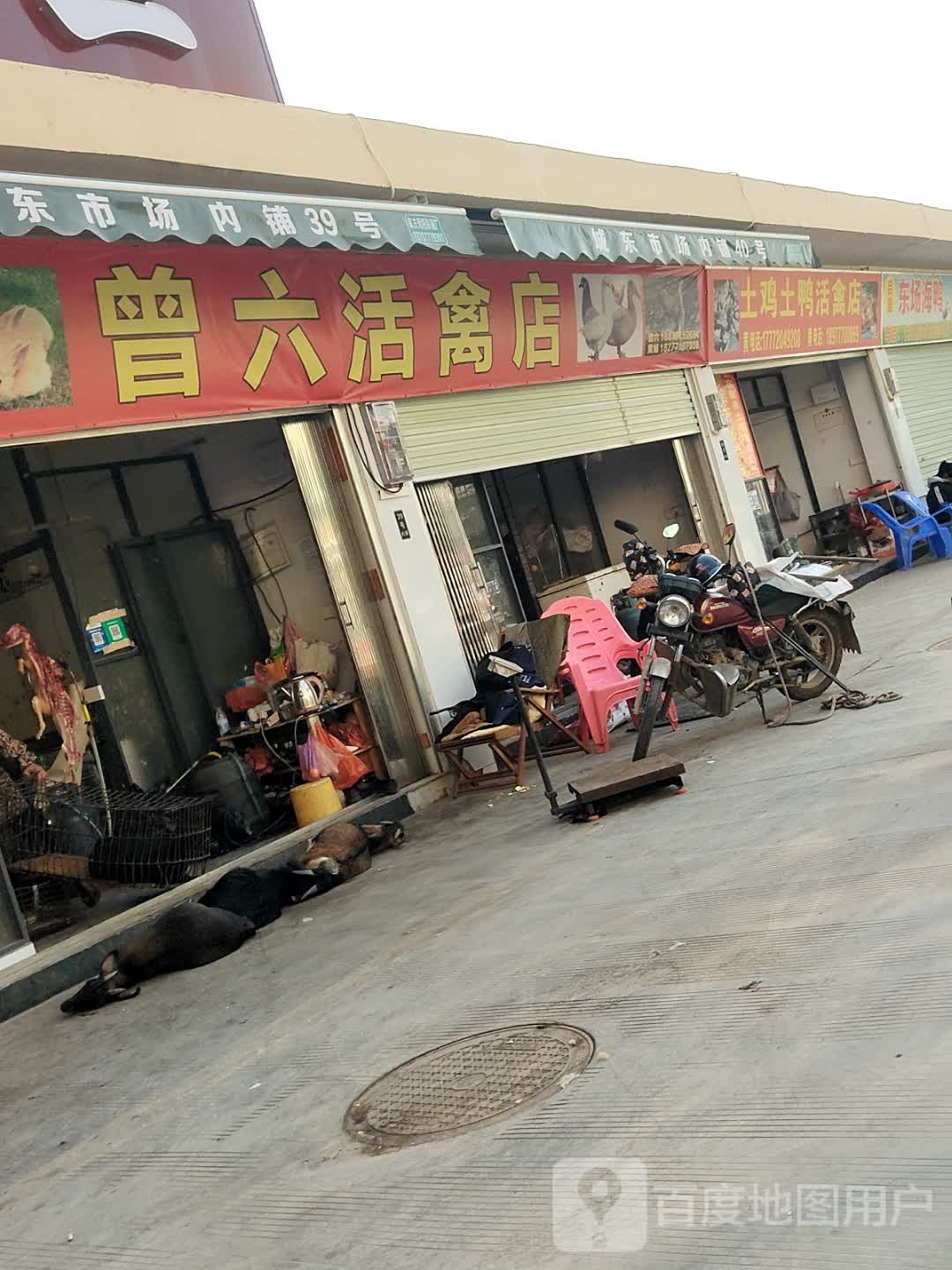 曾六猫狗店(城东市场店)