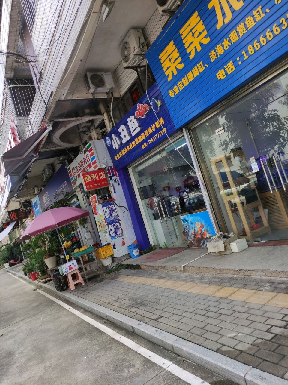 桑桑水族(潮江路店)