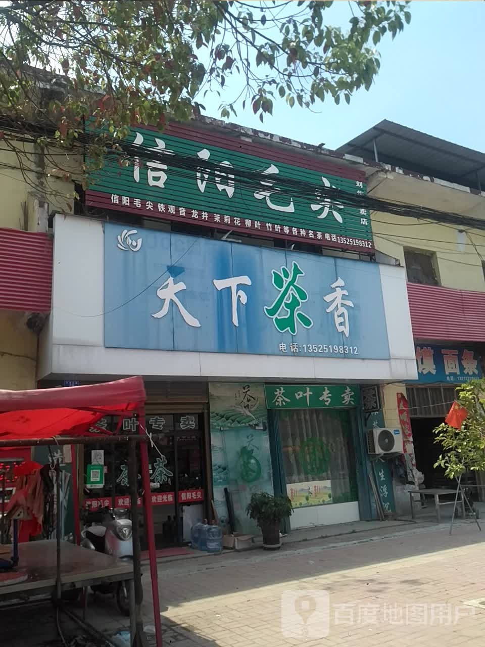 信阳毛尖(刘集店)